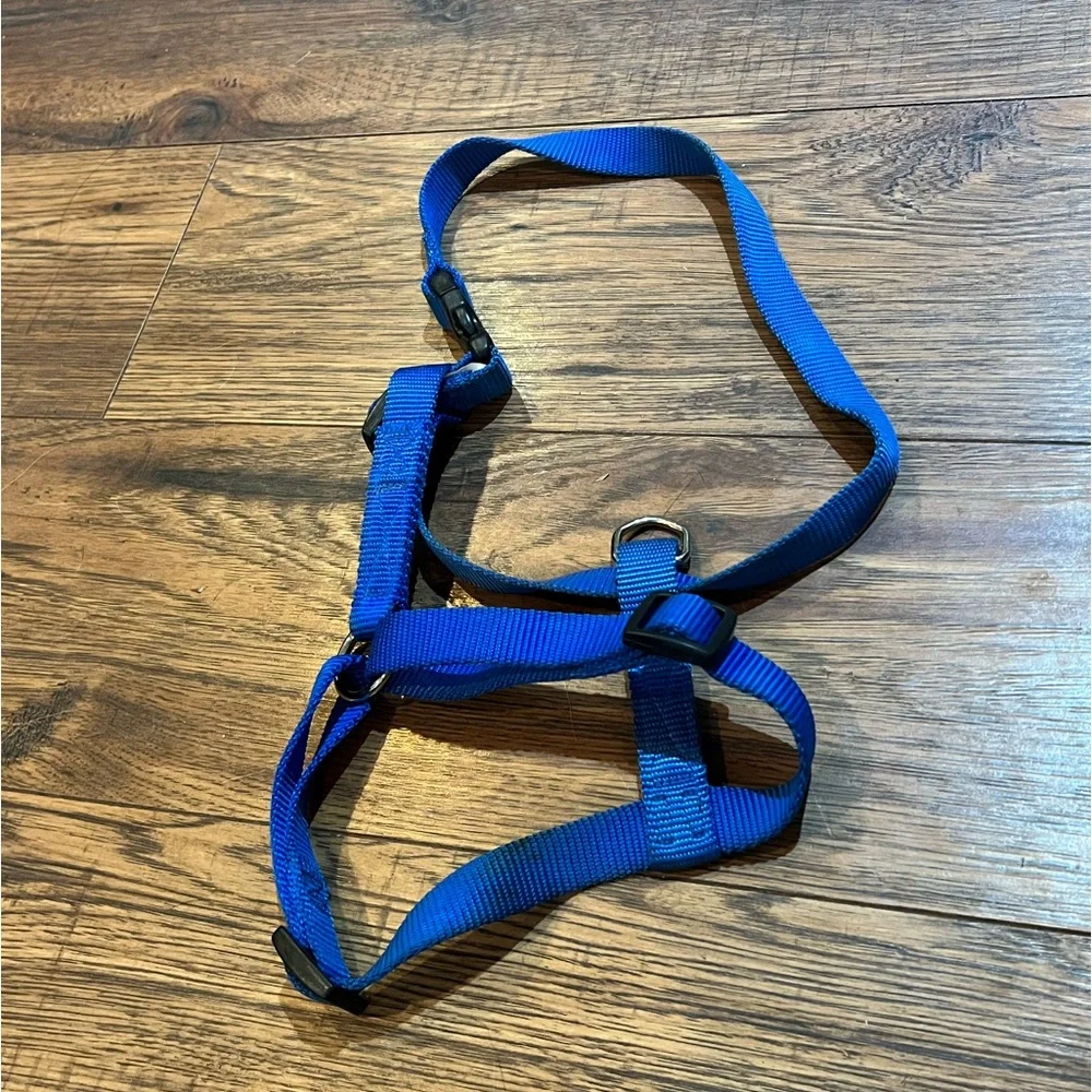 Top Paw Small Dog Leash